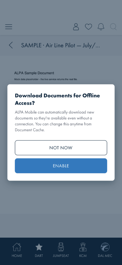 Download Documents for Offline Access confirmation over an open document