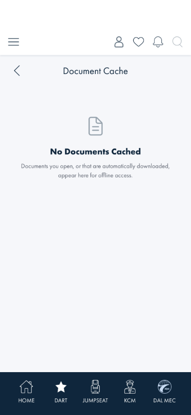 Document Cache empty state with a thin document glyph, No Documents Cached