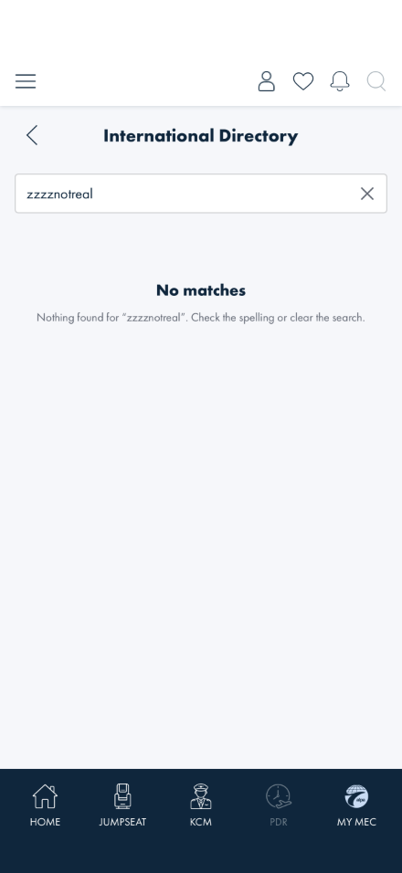 No matches empty state, quoting the search term back