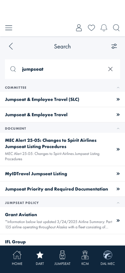 Search results for 'jumpseat' grouped under COMMITTEE, DOCUMENT, and JUMPSEAT POLICY section headers